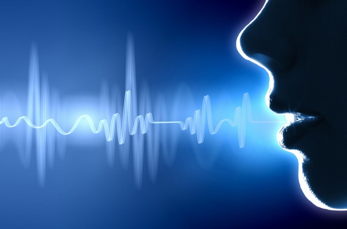 How Silicon Valley is teaching language to machines 